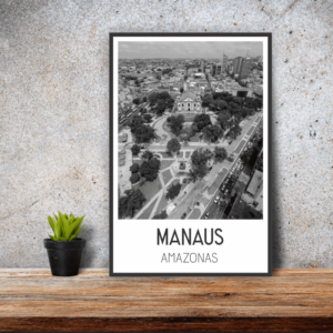 Quadro Manaus - Coleção Cidades - 6519