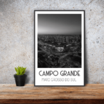 Quadro Campo Grande - 6541