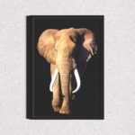 Quadro Elefante - 1295
