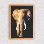 Quadro Elefante - 1295