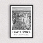 Quadro Campo Grande - 6530