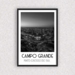 Quadro Campo Grande - 6541