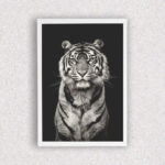 Quadro Tigre Preto e Branco - 1297