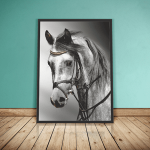 Quadro Cavalo Preto e Branco - 1278