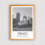 Quadro Chicago - 6568